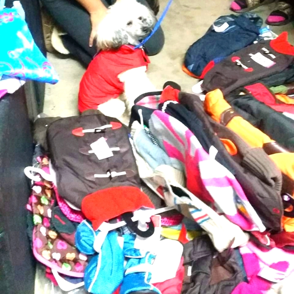 Tons of dog jackets and sweaters
